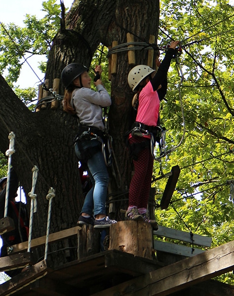 Campsite La Dordogne Verte: Tree climbing