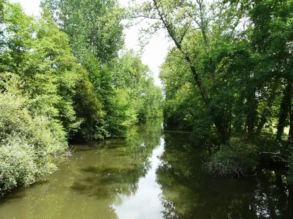 gorges vezere camping dordogne verte 06